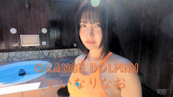 橙色海豚