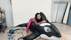 Killer whale float restraint!